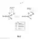 Fig. 07 - Multi-drop unidirectional services in a network