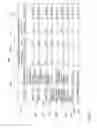 Fig. 05 - Relationship-based authorization