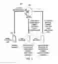 Fig. 02 - Method and apparatus for controlling functionality using codes