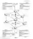 Fig. 02 - Chandra-Toueg consensus in a content centric network