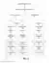 Fig. 02 - Centralized hierarchical configuration system for applications in a distributed network
