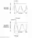 Fig. 04 - Image capturing apparatus and image capturing method