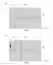 Fig. 07 - Imaging systems and methods with image data path delay measurement