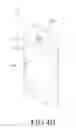 Fig. 06 - Method and apparatus for operating sensor of electronic device