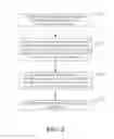 Fig. 03 - Enhanced brightness image acquisition devices and methods