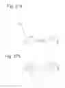 Fig. 28 - Wireless entrance communication device