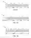 Fig. 07 - Adaptive tile data size coding for video and image compression