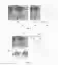 Fig. 05 - ENCODING AND DECODING SELECTIVELY RETRIEVABLE REPRESENTATIONS OF VIDEO CONTENT