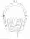 Fig. 02 - Headphones