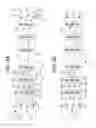 Fig. 09 - LED LIGHT STRING HAVING SERIES-CONNECTED LIGHT BULBS WITH PARALLEL-CONNECTED LED CHIPS