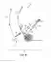 Fig. 06 - Continuous harvester with crop supply chamber