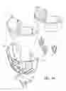 Fig. 14 - Pole and wall adaptable plant container assembly and bracket