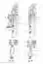 Fig. 02 - Evisceration apparatus and a method for eviscerating suspended poultry
