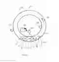 Fig. 02 - Deveining system and device