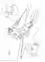 Fig. 02 - Webbed opposable-thumb mitten