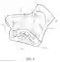 Fig. 07 - Webbed opposable-thumb mitten