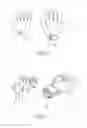 Fig. 08 - WEARING SET CAPABLE OF PREVENTING OVERLAPPED ARTICLES FROM SLIDING PAST EACH OTHER