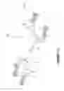 Fig. 07 - Skate and method of manufacture