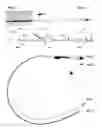 Fig. 01 - METHODS AND SYSTEMS FOR ANATOMICAL STRUCTURE AND TRANSCATHETER DEVICE VISUALIZATION
