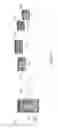 Fig. 07 - COMPRESSED DECALCIFIED TRABECULAR BONE GRAFTS AND TOOTH SOCKET REPAIR