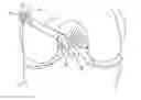 Fig. 01 - Reversible anchoring devices