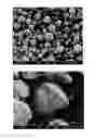 Fig. 02 - Cosmetic