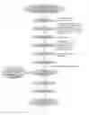 Fig. 02 - Compositions comprising extract and preparation method and uses thereof