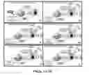 Fig. 04 - Conjugates for immunotherapy