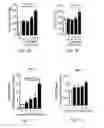 Fig. 02 - METHODS AND COMPOSITIONS RELATING TO TREATMENT OF PULMONARY ARTERIAL HYPERTENSION