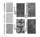 Fig. 02 - DEFECTIVE RIBOSOMAL PRODUCTS IN BLEBS (DRIBBLES) AND METHODS OF USE TO STIMULATE AN IMMUNE RESPONSE