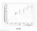 Fig. 06 - Nitrobenzaldehyde proton release for manipulation of cellular acidosis