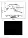 Fig. 07 - GOLD NANOPARTICLES FUNCTIONALIZED WITH SEMAPHORIN 3F AND PREPARATION THEREOF