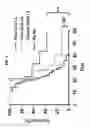 Fig. 02 - Polyketal particles including a CpG oligodeoxynucleotide for the treatment of lung cancer