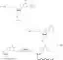Fig. 45 - TERMINAL MODIFICATIONS OF POLYNUCLEOTIDES