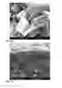 Fig. 04 - Fabrication of highly COselective metal-organic framework membrane using liquid phase epitaxy approach