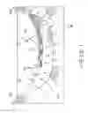 Fig. 02 - Self-regenerating remediation treatments and methods