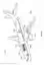 Fig. 08 - Apparatuses and methods for tool height setting