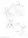 Fig. 02 - Slab Severing or Dividing Device