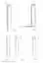 Fig. 02 - SKIRTING BOARD, DECORATIVE SYSTEM AND METHOD FOR MANUFACTURING A SKIRTING BOARD