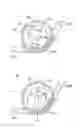 Fig. 01 - Liquid discharging apparatus