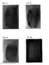 Fig. 02 - OPTICAL BIOMETRIC SECURITY ELEMENT