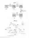 Fig. 02 - Aerogel and manufacturing method thereof