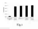 Fig. 02 - Biogeochemical transformations of flue gas desulfurization waste using sulfur oxidizing bacteria