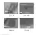 Fig. 03 - ALKALI METAL ION SOURCE WITH MODERATE RATE OF ION RELEASE AND METHODS OF FORMING