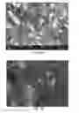 Fig. 08 - ALKALI METAL ION SOURCE WITH MODERATE RATE OF ION RELEASE AND METHODS OF FORMING