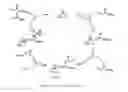 Fig. 01 - Multifunctional (meth)acrylate manufacturing method