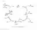 Fig. 02 - Multifunctional (meth)acrylate manufacturing method