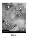 Fig. 02 - Long-chain dimethylaniline derivative compounds, their preparation methods, self-assembled textures, and uses thereof