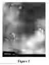 Fig. 03 - Long-chain dimethylaniline derivative compounds, their preparation methods, self-assembled textures, and uses thereof