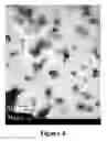Fig. 05 - Long-chain dimethylaniline derivative compounds, their preparation methods, self-assembled textures, and uses thereof
